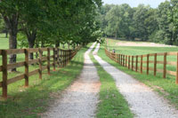 Stone's Throw Farm Dressage